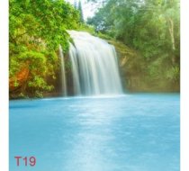 T19