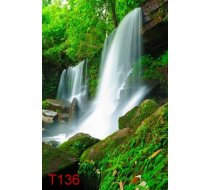T136