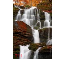 T11