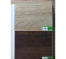 Robina 4