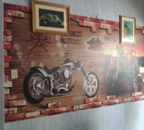 Thi công tranh dán tường 3D giá rẻ ở Vũng Tàu