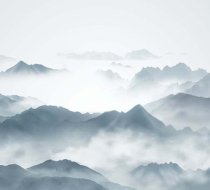 TH_20598