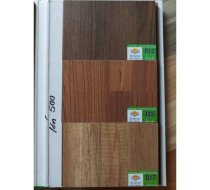 Robina 3