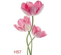 H57