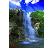 T13