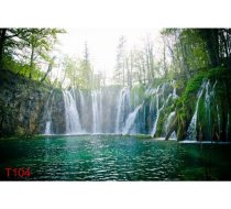 T104