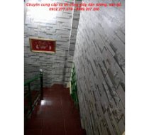 giấy dán tường 3D cho 38 Hoàng Hoa Thám VT