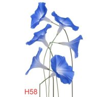 H58