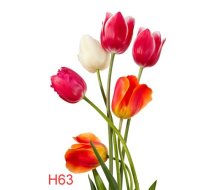 H63