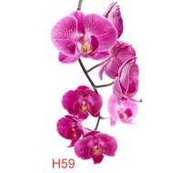 H59