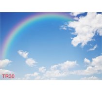 TR30