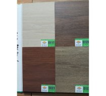 Robina 2