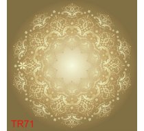 TR71