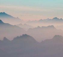 TH_20599