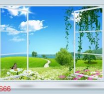 CS66