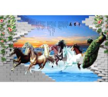 TH_04823