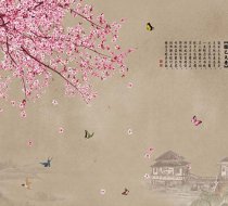 TH_20567