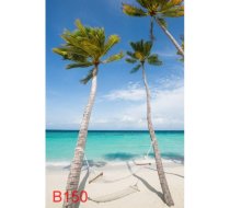 B150