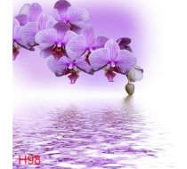 H98