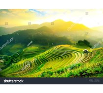 stock 43