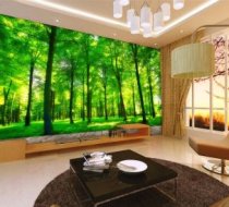 phối cảnh 11