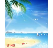 B146