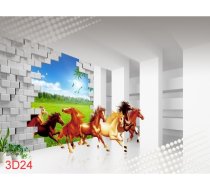 3D24