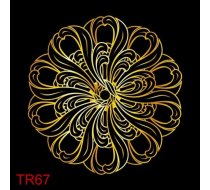 TR67