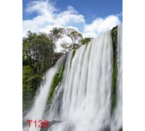 T139