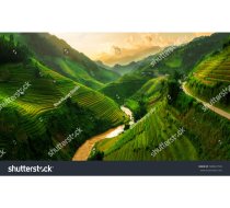 stock 39