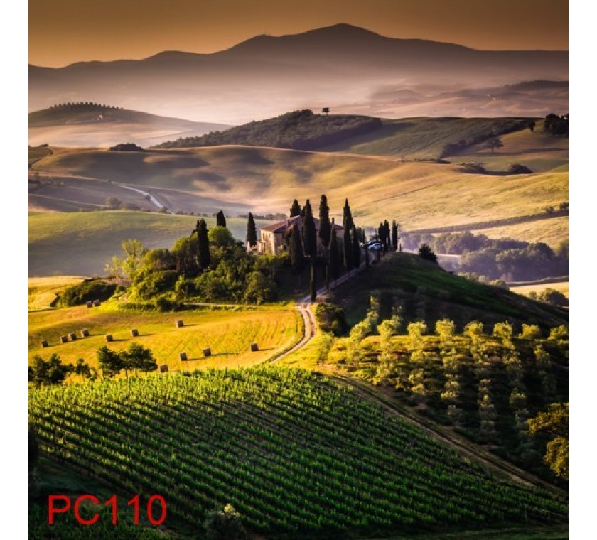 PC110