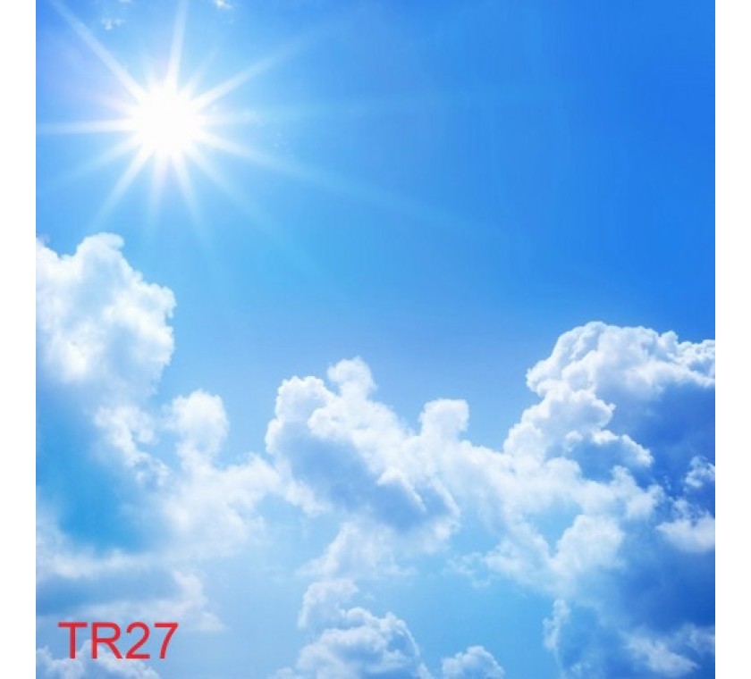 TR27