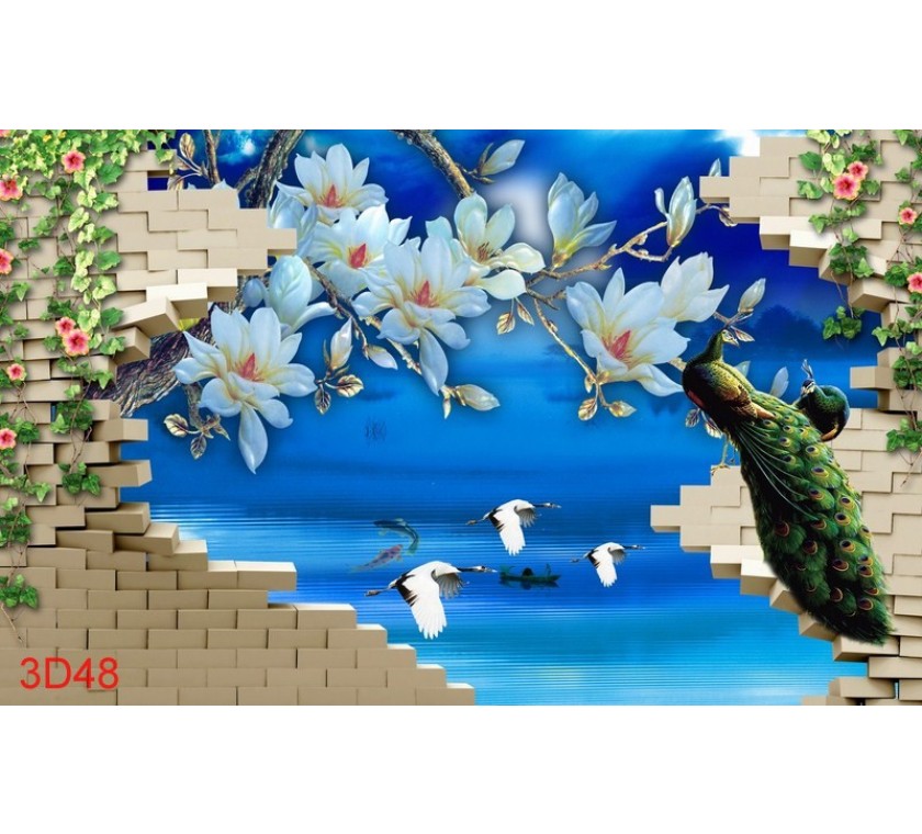 3D48