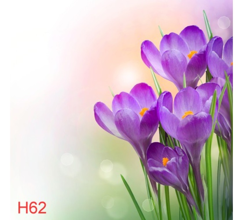H64