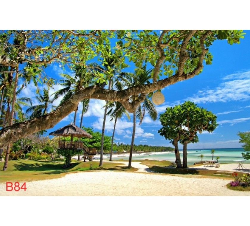 B84