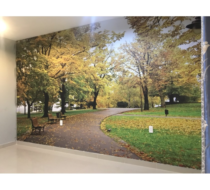 Thi công tranh dán tường 3D phong cảnh tại vũng tàu - CC 93 lê lợi ( 10 - 08 )