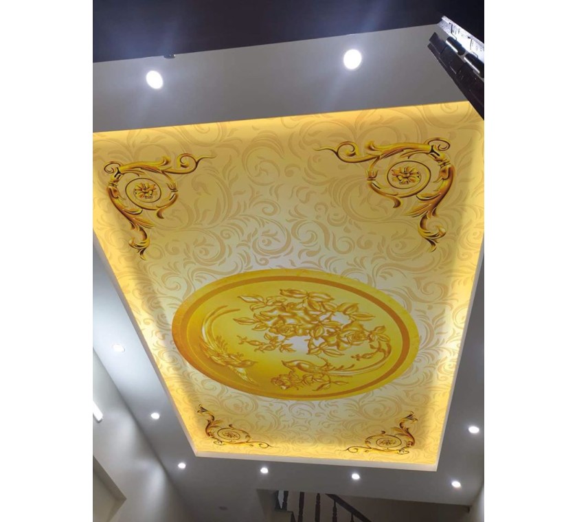 thi công tranh dán Trần cho a Thái - Hải Lâm, Long Hải, Bà Rịa Vũng Tàu