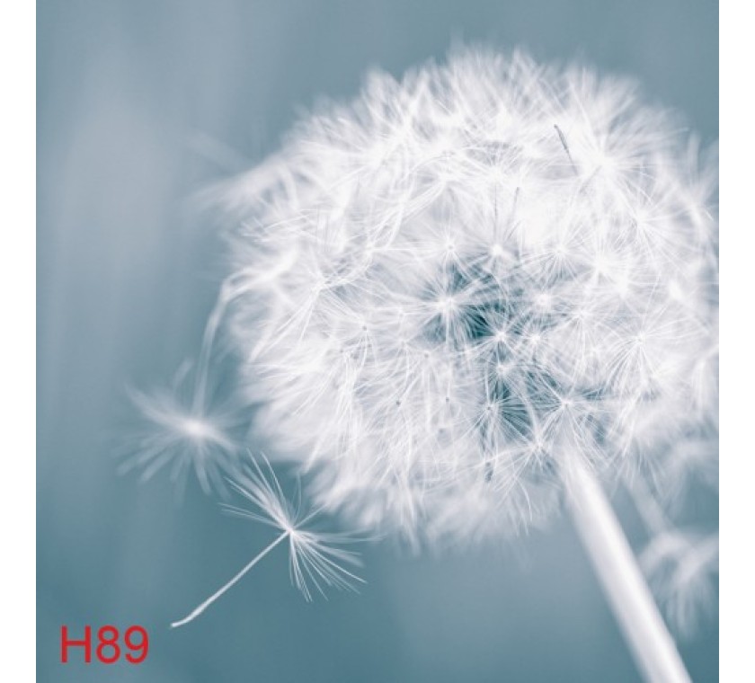 H89