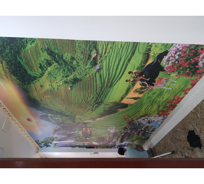 Cửa hàng tranh dán tường 3D giá rẻ Ở Vũng Tàu