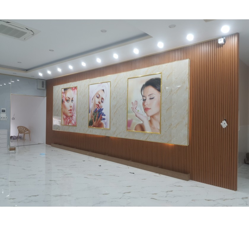 Thi công tranh dán tường 3D giá rẻ ở vũng tàu