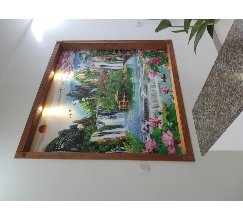 Thi công dán tường 3D giá rẻ ở Vũng Tàu