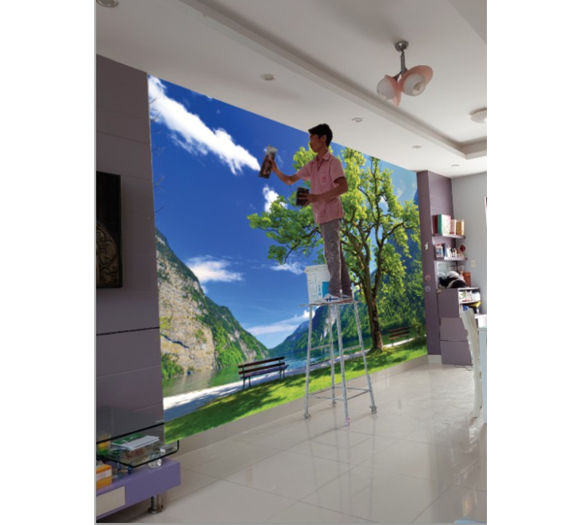 Thi công dán tường 3D giá rẻ ở Vũng Tàu