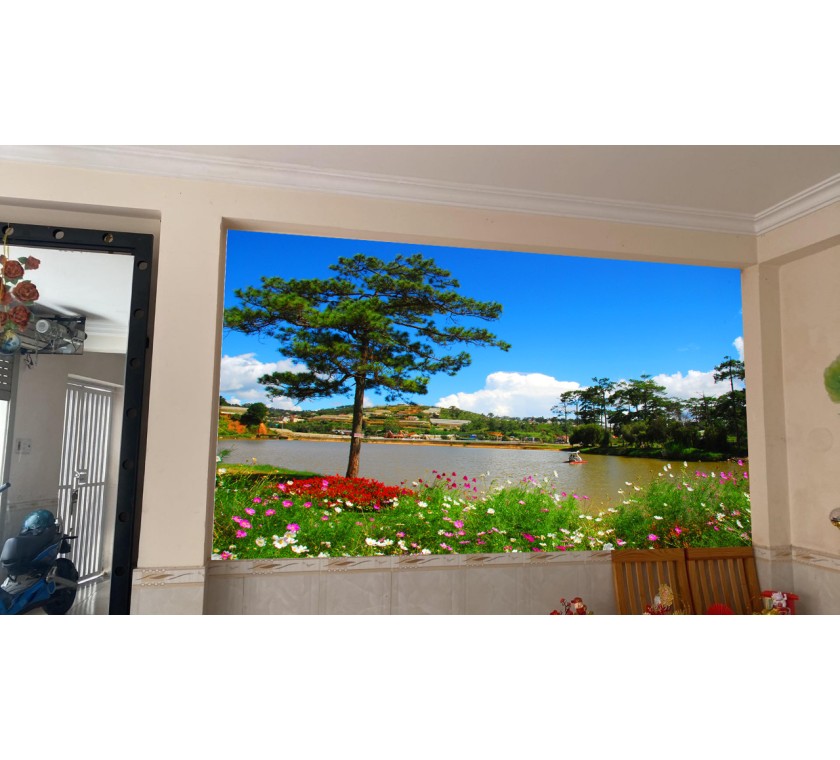 Thi công dán tường 3D giá rẻ ở Vũng Tàu